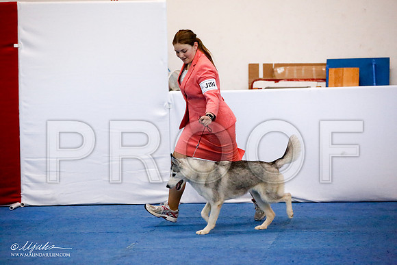 _JJ_8308-AddisonMar2016-HR3