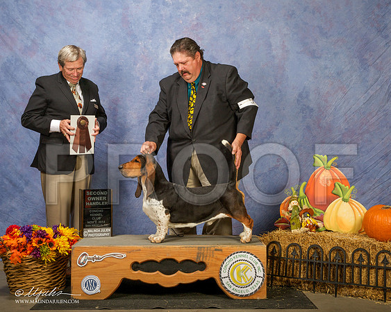 _CL_4641 - Version 2-SanAngelo2014-HR3