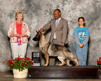 German Shepherd Dog #36 Sat Maj BOS Clarence Lee Sergio Espejo Judge Karen Hynek