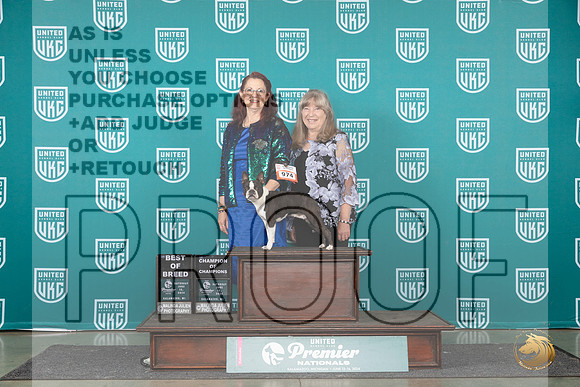 Boston Terrier #974 Sat COCBOB Judge Stephanie Mueller__JP_1976_Premier_2024_HR3