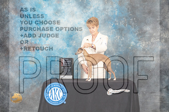 Italian Greyhound #6 Sun WBBOS Judge Tim Robbins_MJ_0357_HstnTOY_2022_HR3