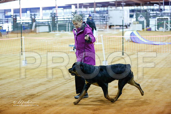 rott-4183-MrshlDec13-HR