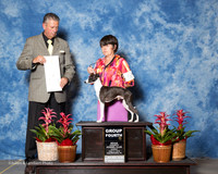 Italian Greyhound #5 Sun G4 Frennier Kimberly and Randall Judge Bart Miller