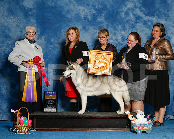 _R1_8271-HuskySltyMar2016-HR3