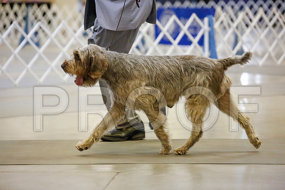 _JJ_7067-AmarilloSept2014-HR3