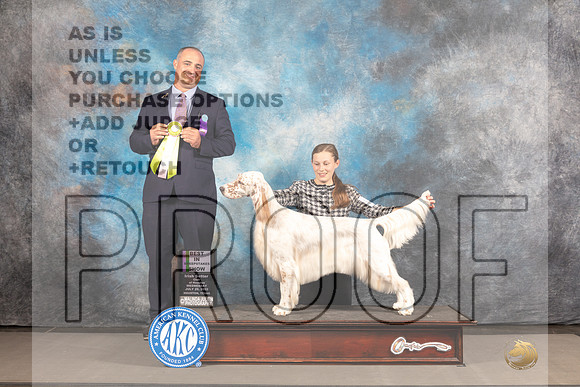 English Setter #6 WED BOW WB Judge Chris Leitkowski-_MJ_2471e_Hstn2022-HR3