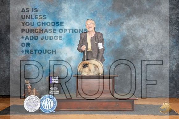 Pekingese #12 Fri WBM Judge Tim Robbins r__JP_7937_MARSHALL_2024_HR3