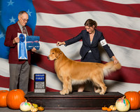 Retrievers Golden #5 Sat G1 Bates Jeannie Maura Roxby Agent David M Harper Judge Mr Laurence J Libeu