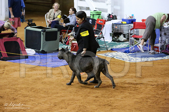 Cane-7790-IABCAFWSPT13-HR