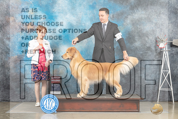 Golden Retriever #17 Sun G2 Judge Sharron Derrick_MJ_5064_Amarillo_2022_HR3