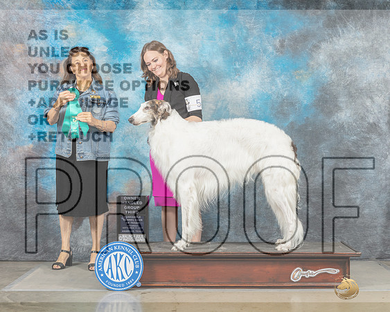Borzoi #5 Sat OHG3 Judge Joan Liebes-_MJ_4536e_Amarillo2022-HR3