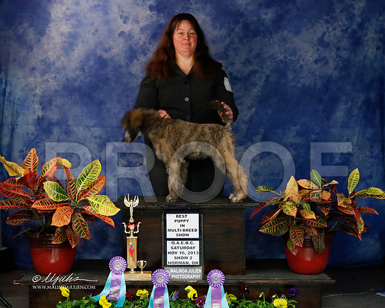 PdMC-9121-NormNov2013-HR