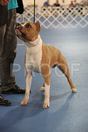 APBT-9948-HR