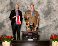 Silky Terrier #5 Sun G2 Bledsoe Donna and Ken Lambert Judge Troy Dargin