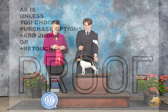 Toy Fox Terrier #12 Sat G2 Judge Christine Martinez__JP_5426_San Antonio_2024_HR3