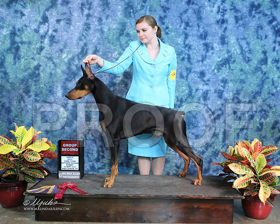 Dobe-1356-IABCAFWSpt13-HR