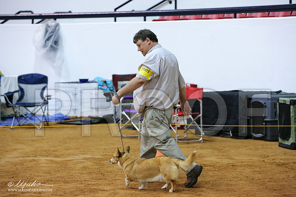 Corgi-8772-IABCAFWSPT13-HR