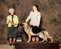 German Shepherd Dog #12 Sat NGC Maxwell Kevin and K and F Fasano and E Stiefferman Agent Nicol Jellison Judge Paula Hartinger