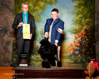 Poodle Miniature #7 Sun G3 Williams Matt and Clay Williams Agent Matt Williams Judge Troy Dargin