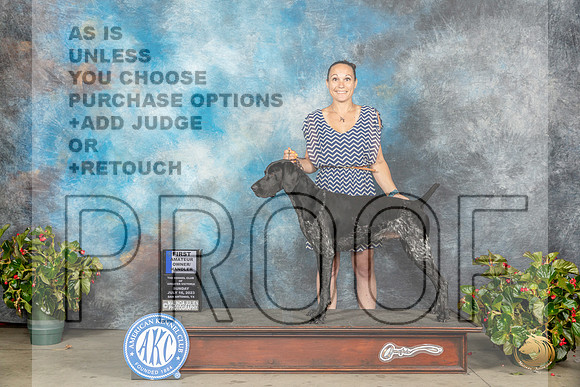 German Shorthaired POinter #5 Sun AM1 Judge Nikki RiggsbeeMJP_9640_SA2023_HR3