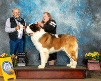 St Bernard #11 Sat G4 Judge John Ramirez