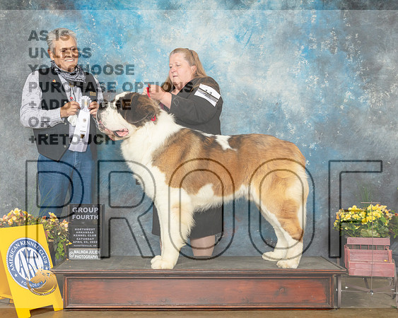 St Bernard #11 Sat G4 Judge John Ramirez-MMJ_0958-NWARK2022-HR3