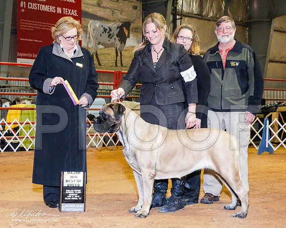 _RH_8900-2-GlenRoseJan2015-HR3