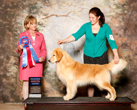 Golden Retriever #5 Fri RBIS Nieman Lindsay And Mia Nieman and Colleen Maddox Agent Colette Livingston Judge Peggy Beisel Mcilwaine