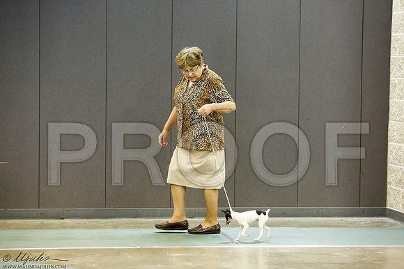 _J3L9255-BeltSep2014-HR