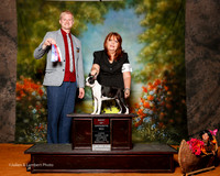 Boston Terrier #8 Sat BOS Richardson Connie McGill Judge Troy Clifford Dargin
