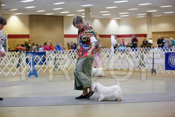 _JN_5890-AmarilloSept2014-HR3