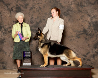 German Shepherd Dog #6 Sat NC WB Smith Carol R and Mia Murray Agent Nicol Jellison Judge Paula Hartinger