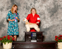 Cocker Spaniel ASCOB #6 Sat WB Turner Hayes Julie Judge MArla Doheny