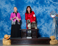 Havanese #6 Thrs BOB Highland Karen Judge Mrs Carolyn A Herbel