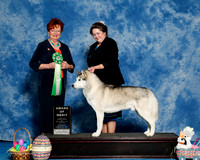 #7 Sat AOM Bruce and Joanne Barnes Thomas Schonbergr and Madeline McDougall Judge Sandy Weaver Carman