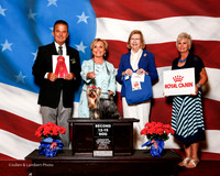#87 Thurs 2nd 12-15 Dog Stringer Anna Judge George Milutinovich