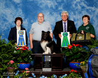 Shetland Sheepdog #106 Sat High Combined HIT Chmura Charles and Linda Lundgren Judge Donna Eddins