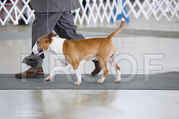_JN_5203-DallasJul2014-HR3