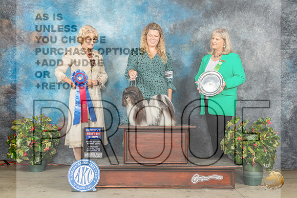 Havanese #14 Sat RBIS Judge Patti Widick NealeMJP_9501_SA2023_HR3