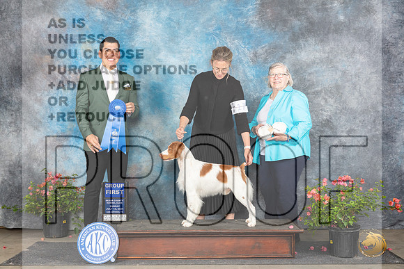Brittany #17 Sun G1 Judge Victor Rosado__JP_6353_San Antonio_2024_HR3