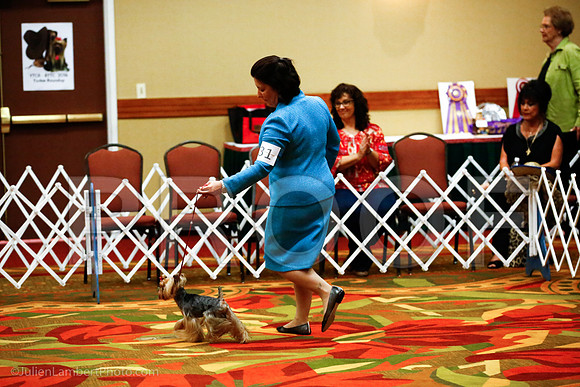 _JJ_8870-YorkieNatJul2016-HR3