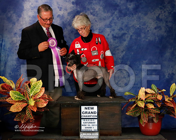 CC-8708-NormNov2013-HR