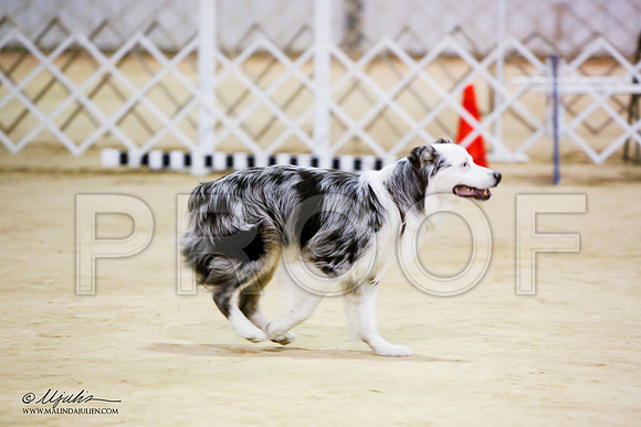_JN_7655-ASCACollegeStationNov2014-HR3