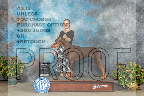 Doberman Pinscher #J200 Sun David KirklandMJP_9742_SA2023_HR3