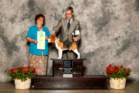 Beagle 15in #5 Sat OH G2 Crews Marc and Doris Judge Marilyn Pipes