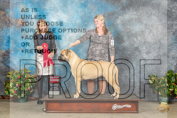 Bullmastiff #8 Sat G2 Judge Lee WhittierMJP_9263_SA2023_HR3