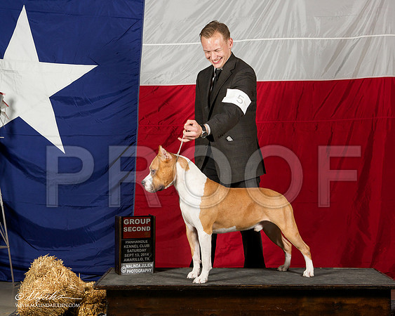 _ST_1849-AmarilloSep2014-HR3