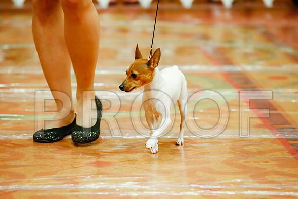 _JJ_8162-SanMarcosAug2016-HR3