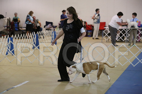 APBT-9953-HR