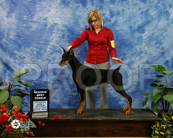 dobe-6463-HtoJan14-HR